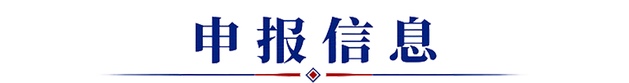 申报信息