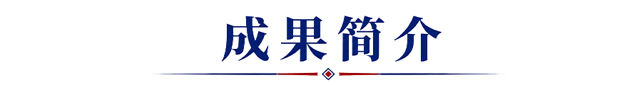 成果视频
